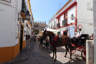Ruta caravaning entre las <b>provincias andaluzas de Sevilla y Córdoba</b>