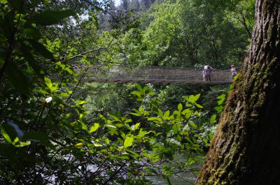 Puente Cal Grande