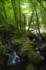 Arroyos del río Eume