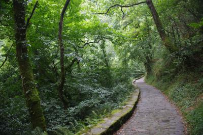 Camino de ascenso al Monasterio de San Juan de Caaveiro