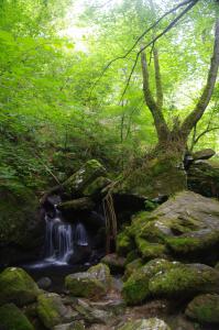 Cascada en el Eume