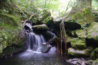 Cascada junto al  puente románico