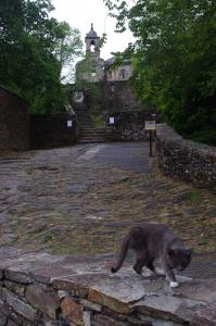 Habitante del Monasterio de San Juan de Caaveiro