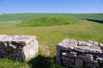 El túmulo de tierra lo cubre casi por completo