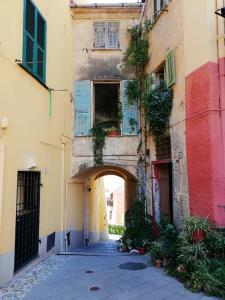 Calle centro histórico