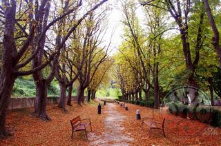 El jardín secreto otoñal