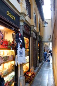 Callejuelas en la Alcaicería