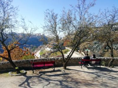 Vistas de la Alhambra desde el museo