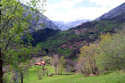 Valle en ascenso por la CA-282 a Piñares