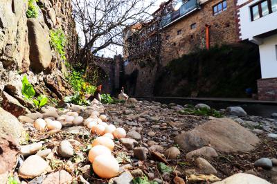 Huevos de ganso en el río Quiviesa a su paso por Potes