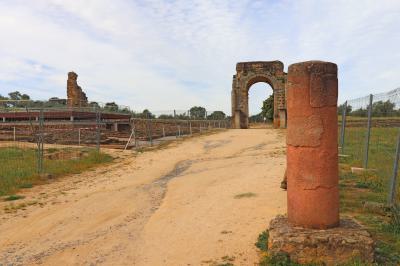 Un rollo en la vía de la plata junto al Arco romano de Cáparra