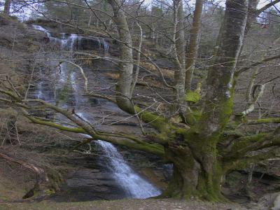 Cascada de Uguna