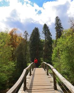 Cañón de Wutach