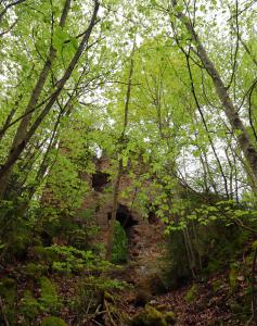 Cañón de Wutach