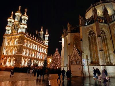 Lovaina en Navidad