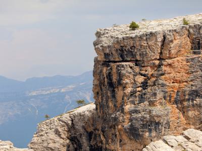 Vegetación en Cinque Torri