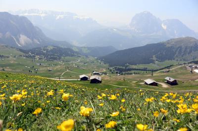 Valle de pradera de Seceda