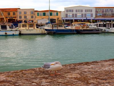 Puerto de Saint Martin de Ré