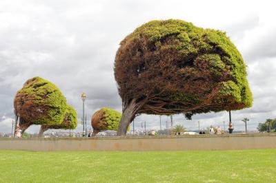 Rabat