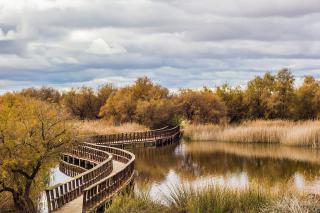 Parque Nacional de las Tablas de Daimiel