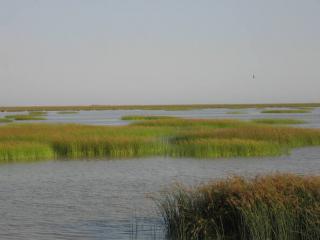 Parque Nacional de Doñana.